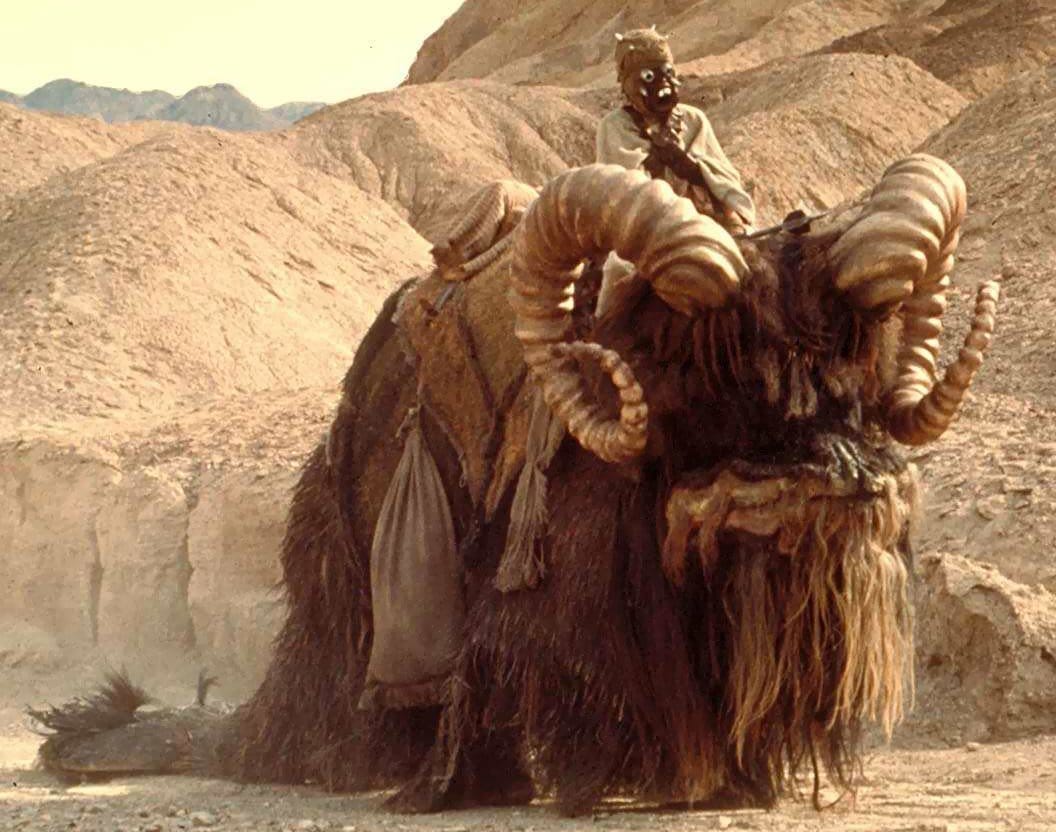 Pourquoi Le Livre de Boba Fett n’aura probablement pas de Saison 2 #5