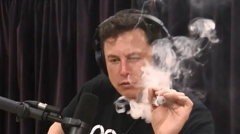 Elon Musk devient président de Twitter et propose un bouton Modifier #2