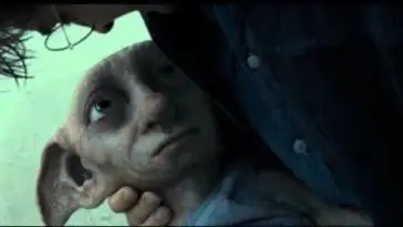 Harry Potter : les fans se mobilisent pour sauver la tombe de Dobby