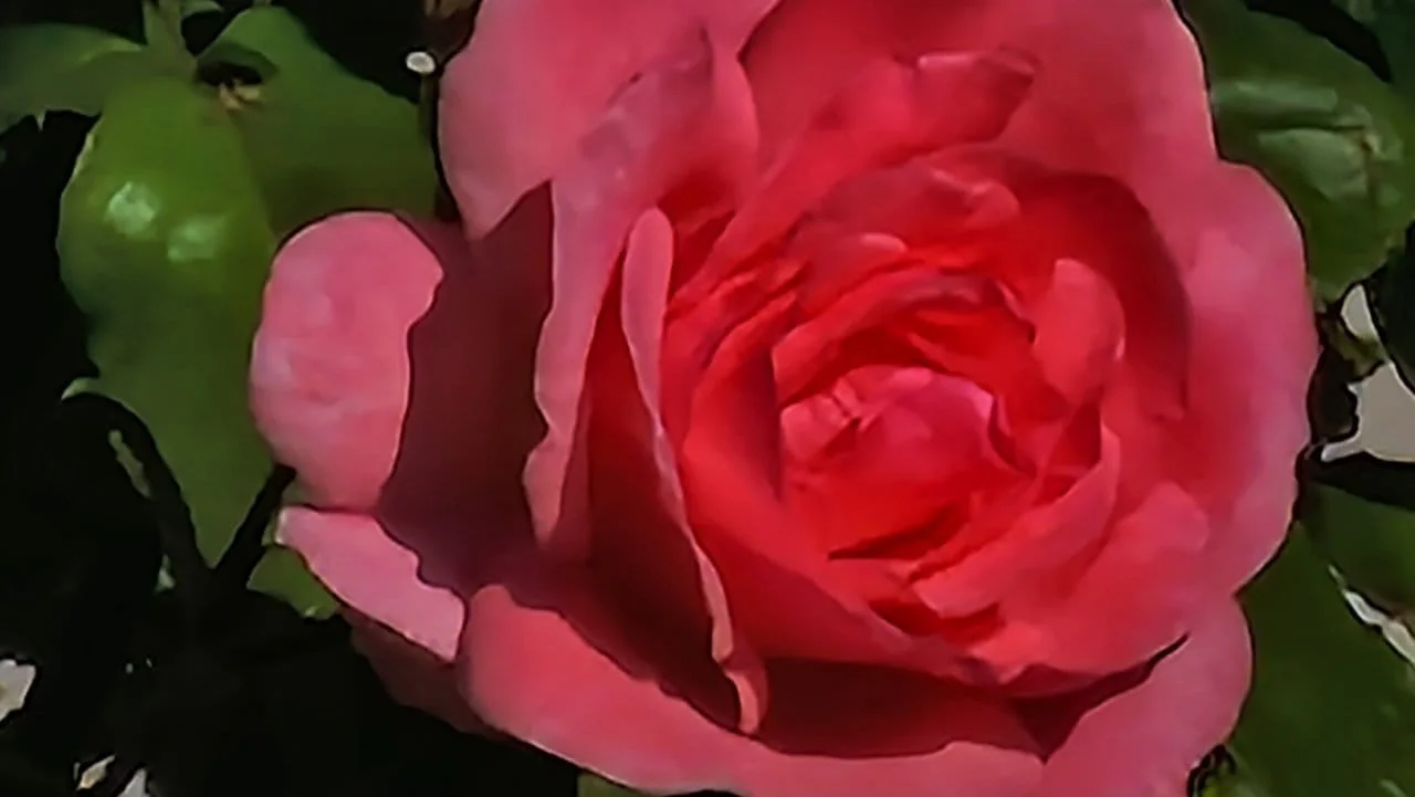 Test Samsung Galaxy S22 Ultra : le meilleur smartphone du moment pour les vidéos de nuit #26