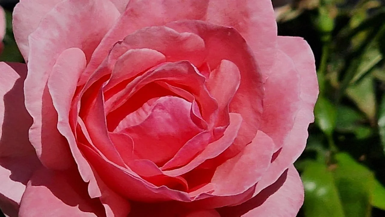 Test Samsung Galaxy S22 Ultra : le meilleur smartphone du moment pour les vidéos de nuit #25