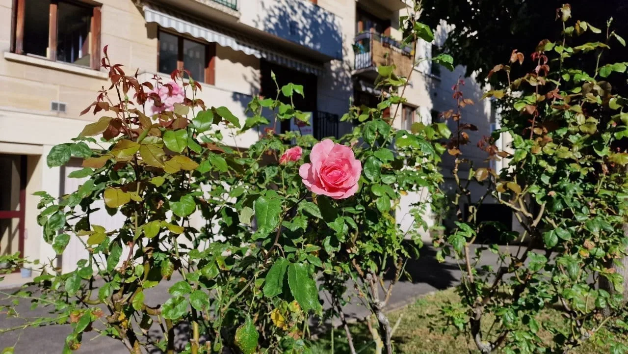 Test Samsung Galaxy S22 Ultra : le meilleur smartphone du moment pour les vidéos de nuit #21