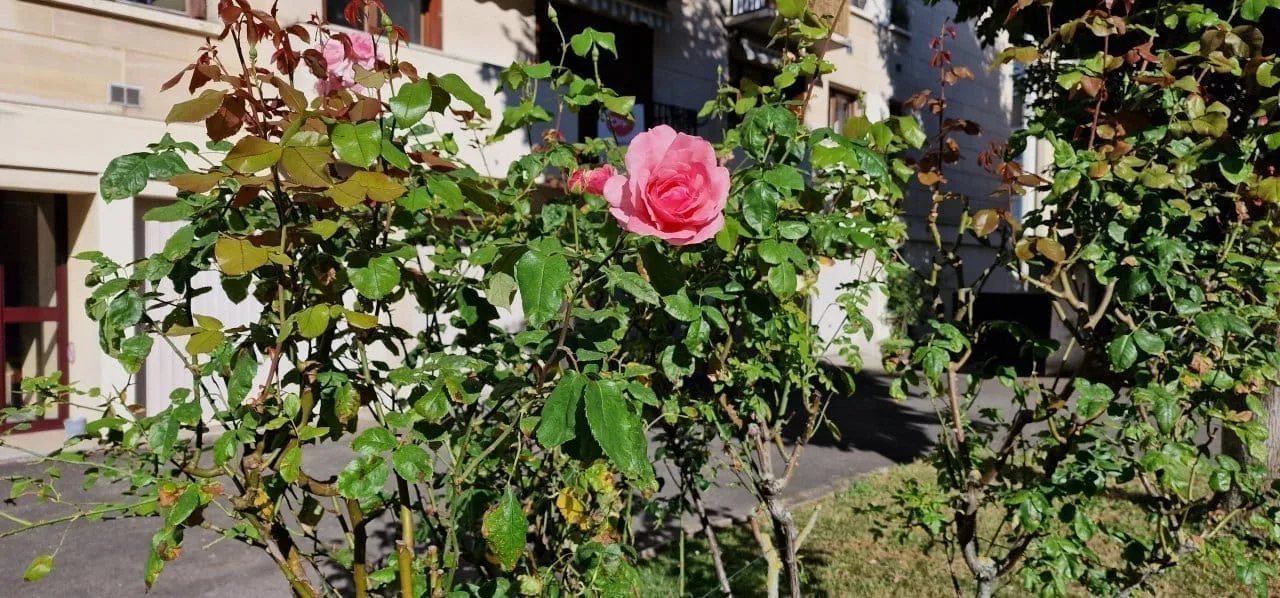 Test Samsung Galaxy S22 Ultra : le meilleur smartphone du moment pour les vidéos de nuit #22