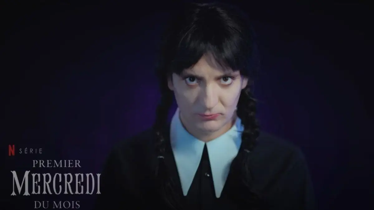 Le Palmashow parodie Netflix et fait un carton sur TF1