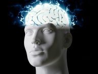 brain, mind, intelligence