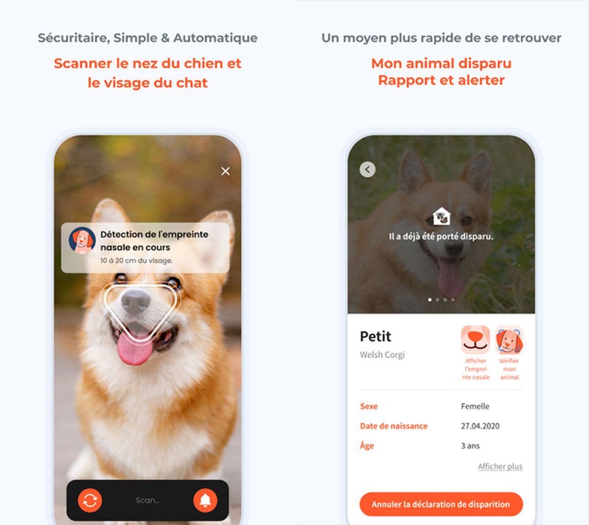 L’appli Petnow peut identifier les chiens et chats perdus grâce à l’IA #2