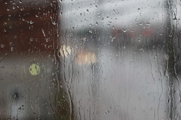 Panneaux pluivio-voltaïques : Ces panneaux génèrent de l’électricité grâce à la pluie #2