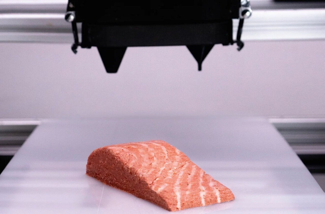 Une start-up autrichienne crée un pavé de saumon… sans saumon #2