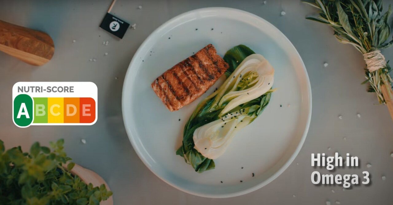 Une start-up autrichienne crée un pavé de saumon… sans saumon #3