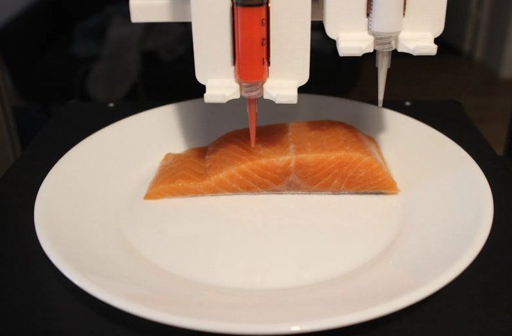Une start-up autrichienne crée un pavé de saumon… sans saumon #6