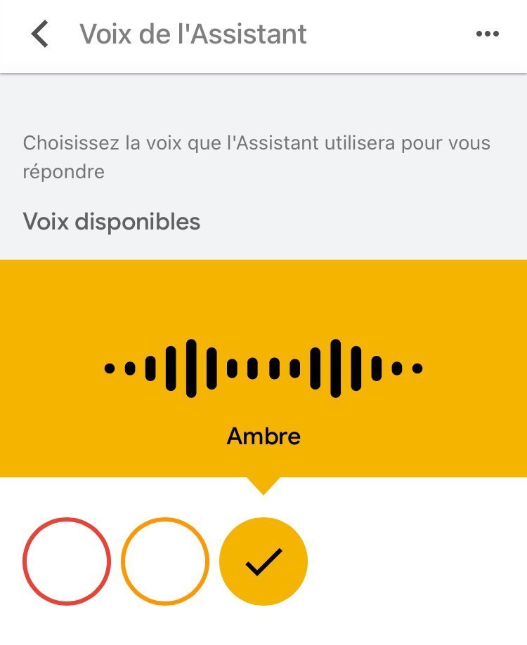 Google Home change de voix, comment remettre la voix précédente ? #7