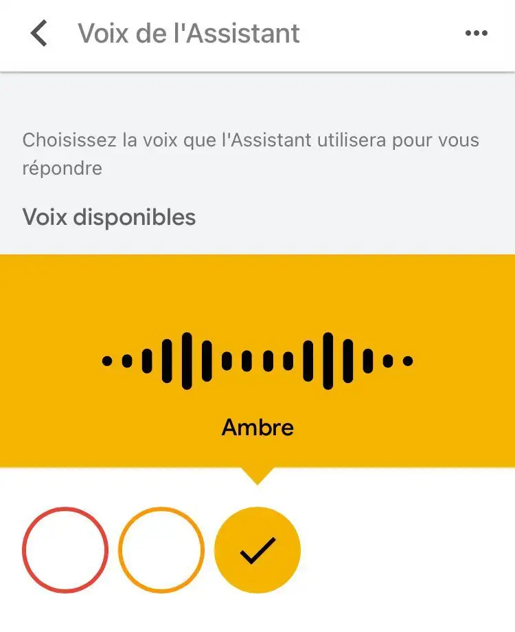 Google Home change de voix, comment remettre la voix précédente ? #3