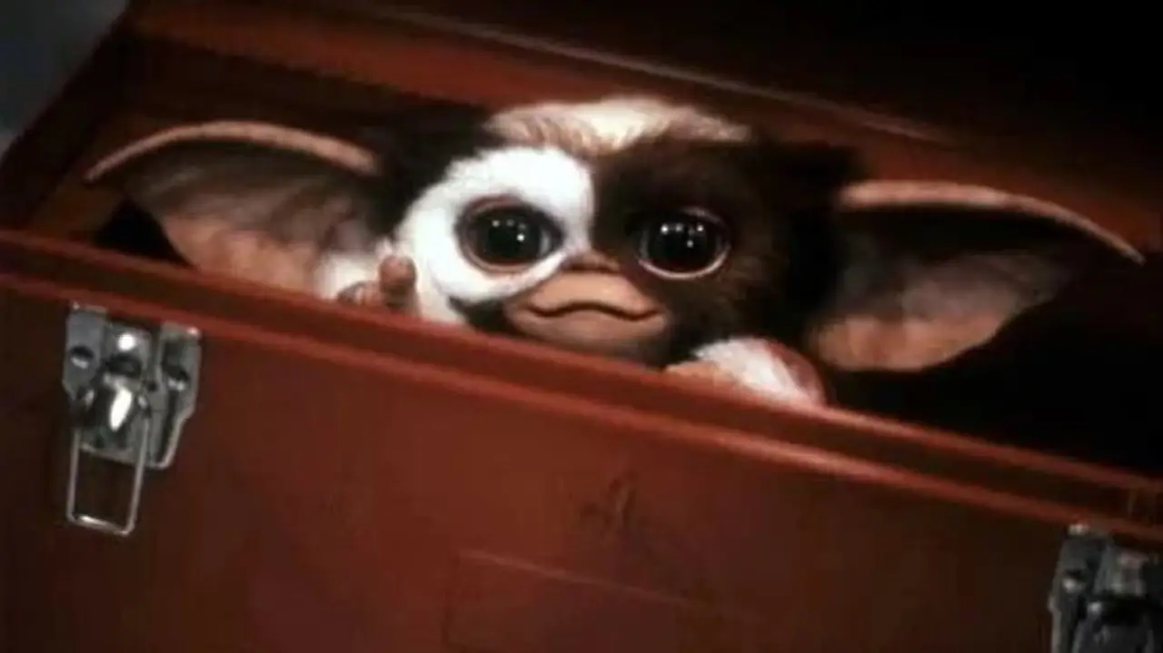 Gremlins 3 : le script est finalisé mais le détenteur des droits pourrait tout bloquer
