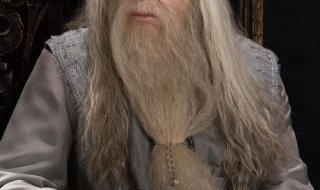 Albus Dumbledore