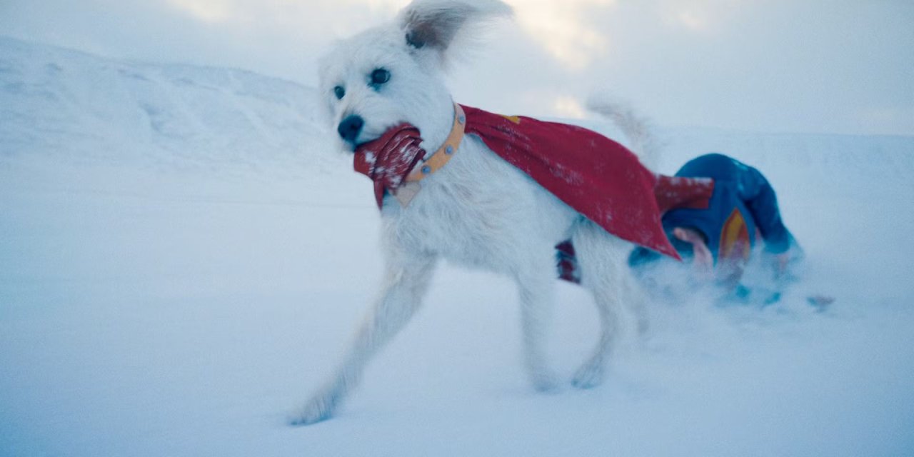 Les origines de Krypto, le super chien de Superman #4