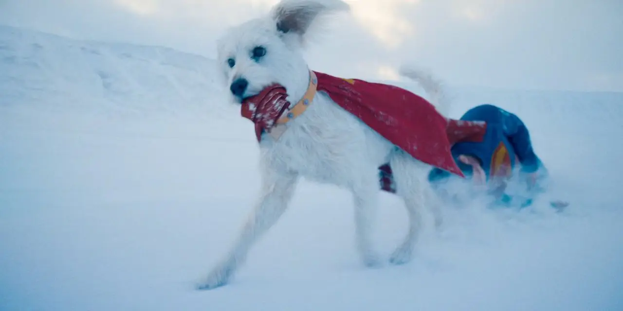 Les origines de Krypto, le super chien de Superman #3