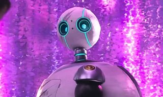 Le Robot Sauvage 2