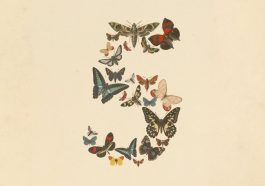 Haiku, Sonnet, Opus, Fable, Mythos : Pourquoi les IA Claude portent des noms de poèmes ?