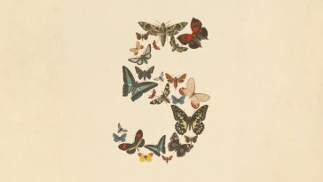 Haiku, Sonnet, Opus, Fable, Mythos : Pourquoi les IA Claude portent des noms de poèmes ?
