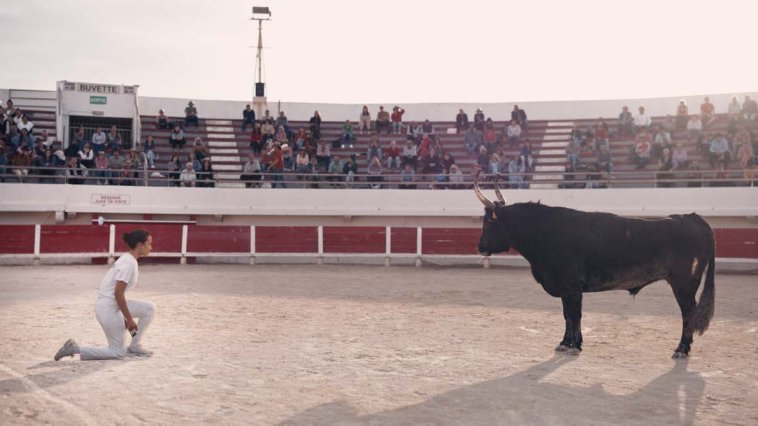 Animale streaming gratuit