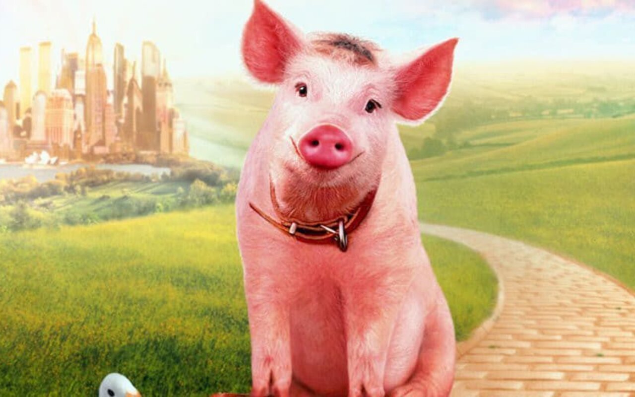 Babe 2 le cochon dans la ville streaming gratuit Babe 2 le cochon dans la ville streaming gratuit