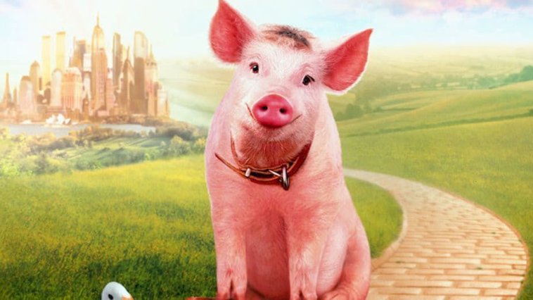 Babe 2 le cochon dans la ville streaming gratuit Babe 2 le cochon dans la ville streaming gratuit