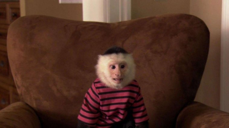 Docteur Dolittle 5 streaming gratuit Docteur Dolittle 5 streaming gratuit