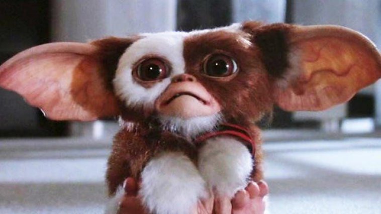 Gremlins streaming gratuit