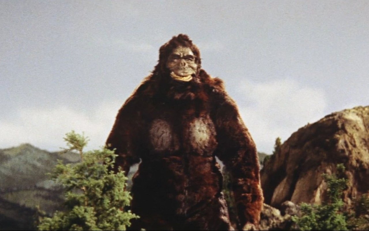 King Kong streaming gratuit King Kong streaming gratuit