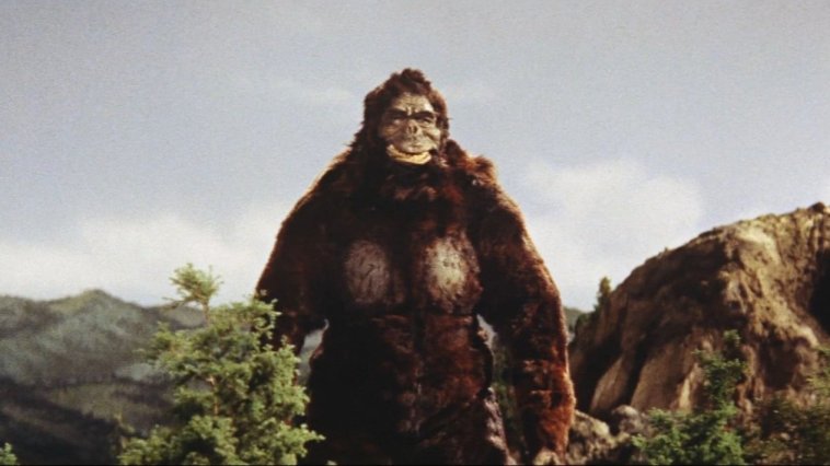 King Kong streaming gratuit King Kong streaming gratuit