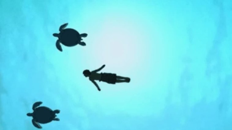 La Tortue Rouge streaming gratuit La Tortue Rouge streaming gratuit