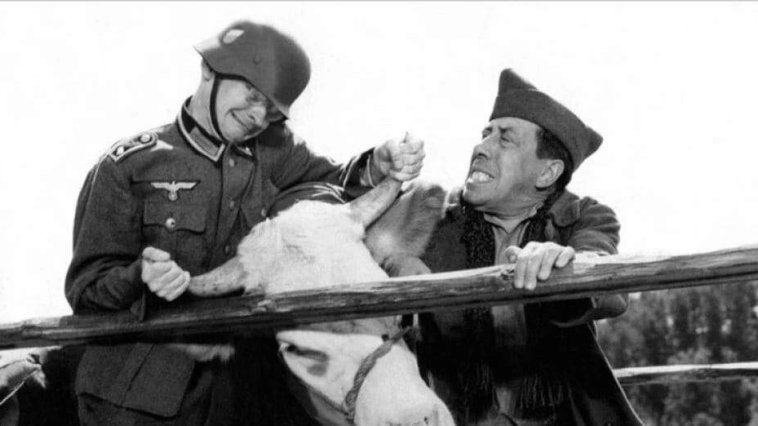 La vache et le prisonnier streaming gratuit La vache et le prisonnier streaming gratuit