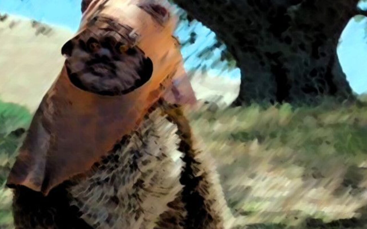 L'Aventure des Ewoks : La Caravane du courage streaming gratuit L'Aventure des Ewoks : La Caravane du courage streaming gratuit