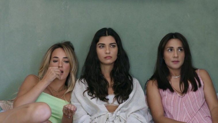 Le chemin de l'olivier streaming gratuit Le chemin de l'olivier streaming gratuit