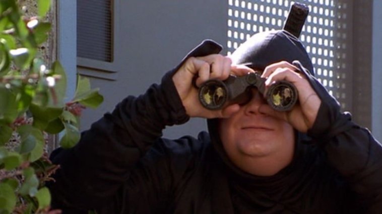 Le Ninja de Beverly Hills streaming gratuit Le Ninja de Beverly Hills streaming gratuit