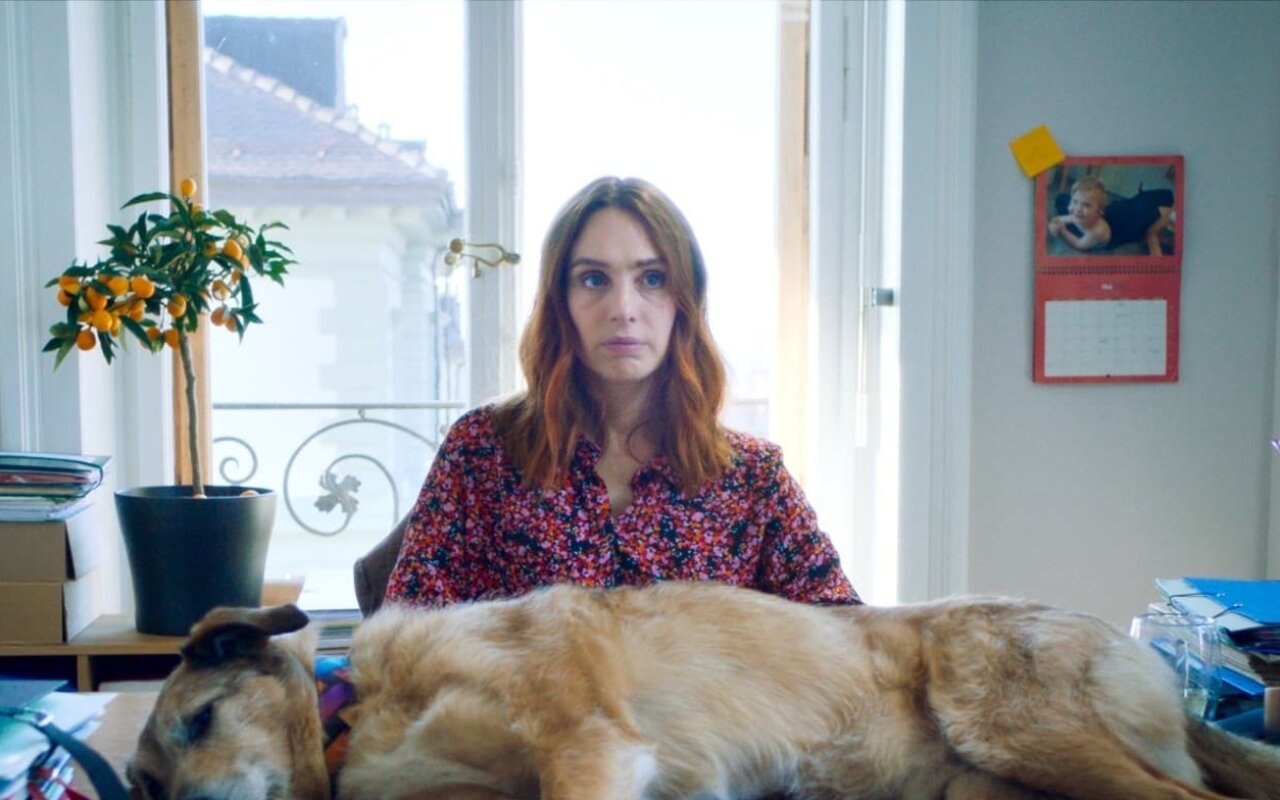 Le Procès du chien streaming gratuit Le Procès du chien streaming gratuit