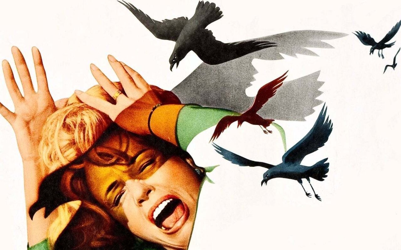 Les Oiseaux streaming gratuit Les Oiseaux streaming gratuit