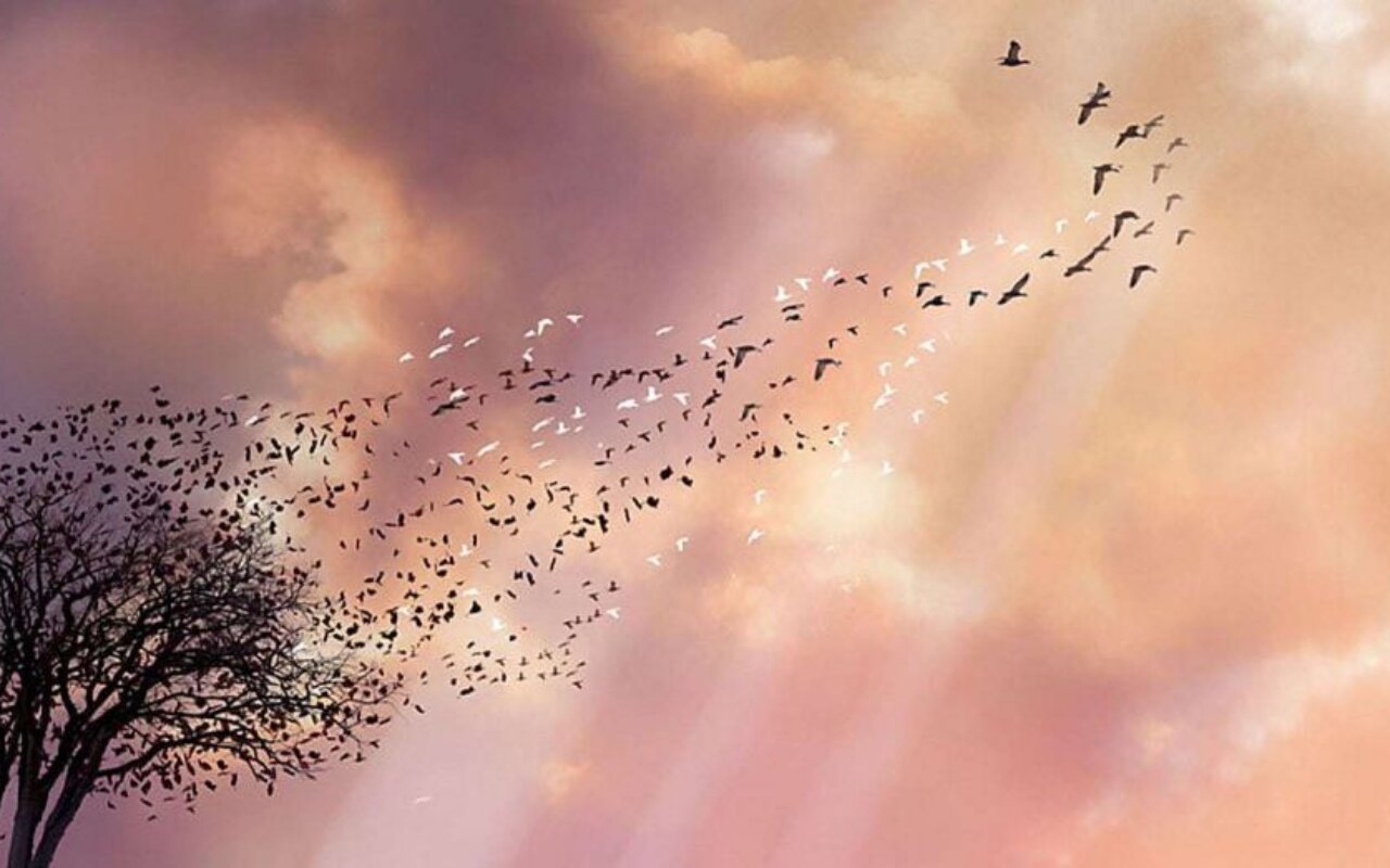 Lovely Bones streaming gratuit Lovely Bones streaming gratuit