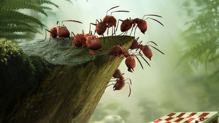 Minuscule La vallée des fourmis perdues streaming gratuit Minuscule La vallée des fourmis perdues streaming gratuit