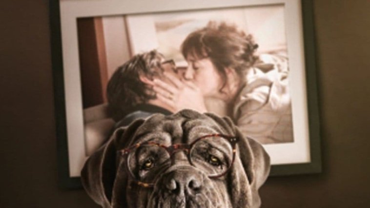 Mon chien stupide streaming gratuit Mon chien stupide streaming gratuit