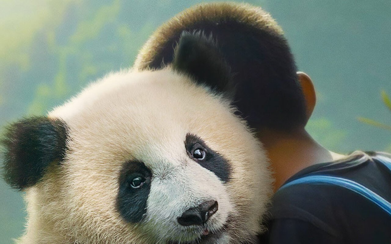 Moon le panda streaming gratuit Moon le panda streaming gratuit