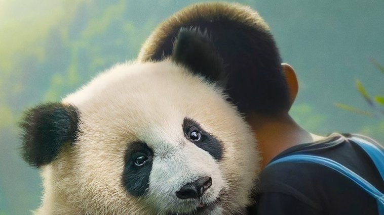 Moon le panda streaming gratuit Moon le panda streaming gratuit