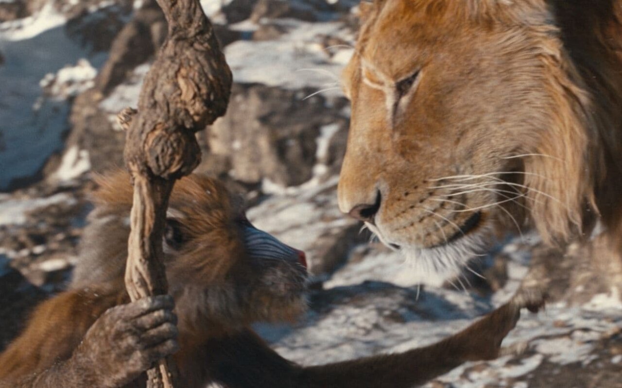 Mufasa : le roi lion streaming gratuit Mufasa : le roi lion streaming gratuit