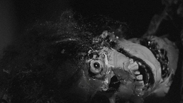 La Nuit des morts-vivants streaming gratuit La Nuit des morts-vivants streaming gratuit