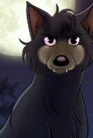 Affiche Loup en streaming