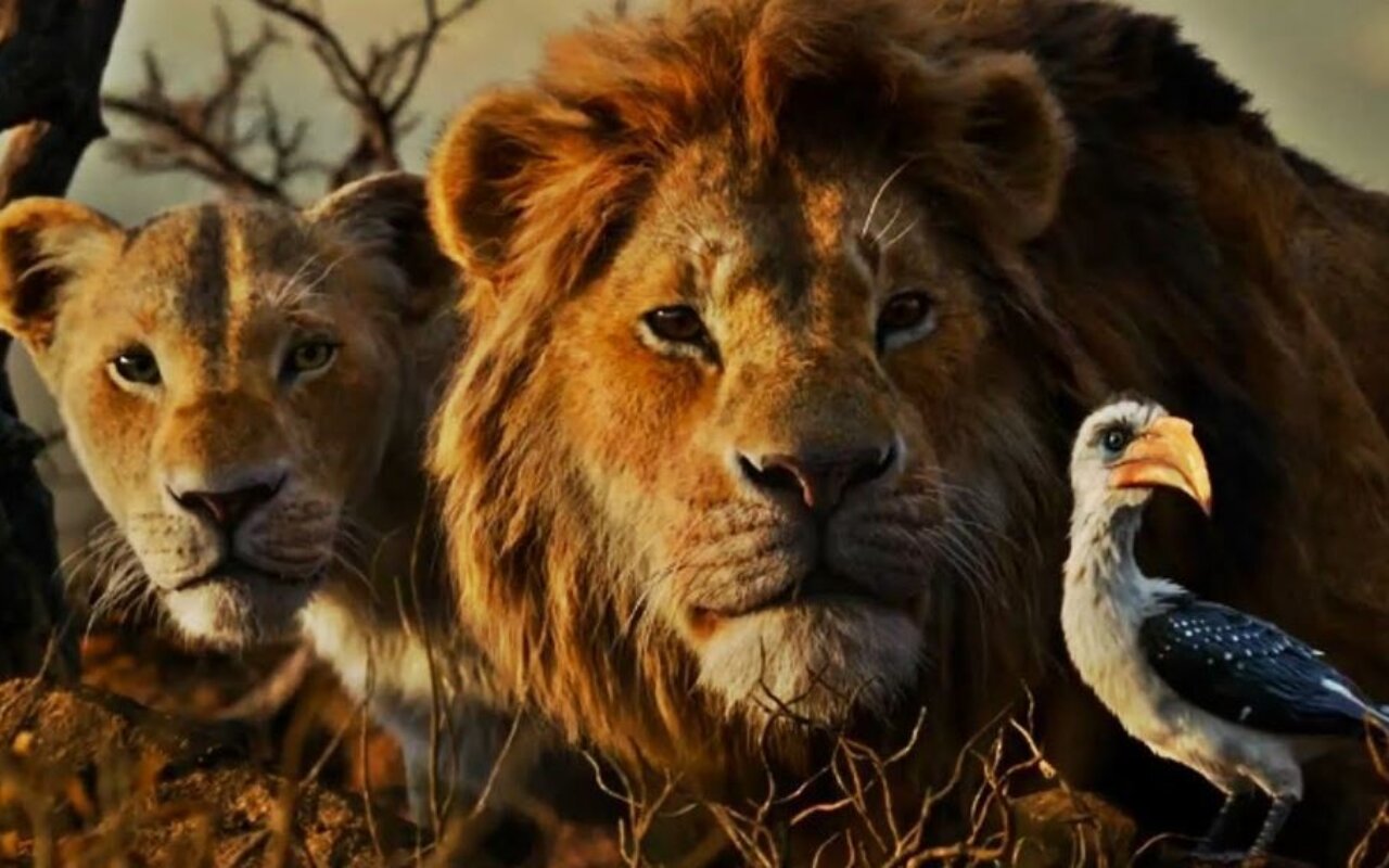 Le Roi Lion streaming gratuit Le Roi Lion streaming gratuit