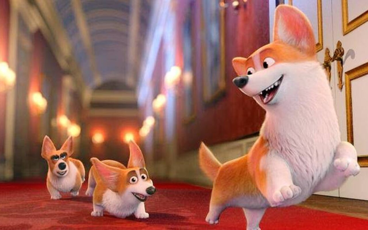 Royal Corgi streaming gratuit Royal Corgi streaming gratuit