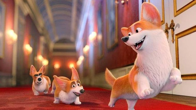 Royal Corgi streaming gratuit Royal Corgi streaming gratuit