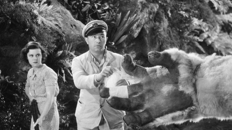Le Fils de Kong streaming gratuit Le Fils de Kong streaming gratuit