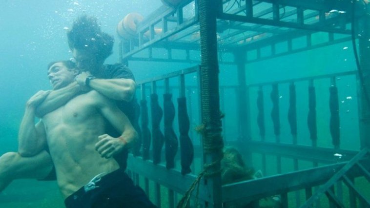 Shark 3D streaming gratuit Shark 3D streaming gratuit